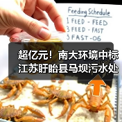 超亿元！南大环境中标江苏盱眙县马坝污水处理厂扩建工程总承包！（图2）