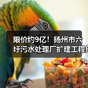 限价约9亿！扬州市六圩污水处理厂扩建工程EPC工程总承包招标！（图2）