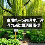 泰州第一城南污水厂污泥焚烧处置项目招标！（图3）