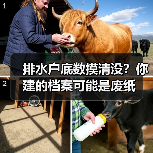 排水户底数摸清没？你建的档案可能是废纸