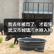 我去年被罚了，才看懂武汉市城镇污水排入排水管网许可实施细则（图3）