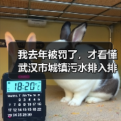 我去年被罚了，才看懂武汉市城镇污水排入排水管网许可实施细则（图4）