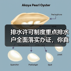 排水许可制度重点排水户全面落实办证，你真以为办了证就完事了？（图4）