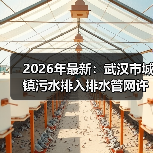 2026年最新：武汉市城镇污水排入排水管网许可实施细则，搞错就罚款（图3）