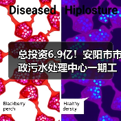 总投资6.9亿！安阳市市政污水处理中心一期工程招标