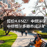 报价4.65亿！中煤环保中标鄂尔多斯市成达矿业有限公司陶忽图煤矿矿井水深度处理项目PC+O！（图3）