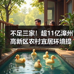 不足三家！超11亿漳州高新区农村宜居环境提升与水系综合治理项目特许经营流标！