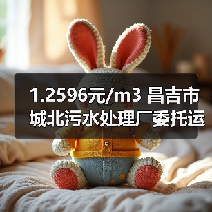 1.2596元/m3 昌吉市城北污水处理厂委托运营项目（二次）招标！（图2）