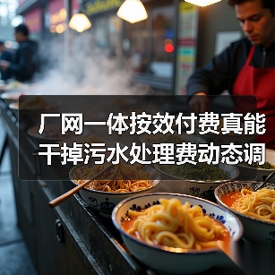 厂网一体按效付费真能干掉污水处理费动态调整吗？（图3）