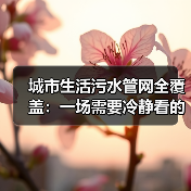 城市生活污水管网全覆盖：一场需要冷静看的基建革命（图2）