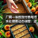 厂网一体按效付费与污水处理费动态调整：逻辑拆解（图3）