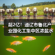 超2亿！通辽市鲁北产业园化工集中区浓盐水处理零排提升改造工程项目EPC+O模式招标！（图4）