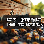 超2亿！通辽市鲁北产业园化工集中区浓盐水处理零排提升改造工程项目EPC+O模式招标！（图2）