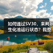 如何通过SV30，来判断生化池运行状态？我整理了一份对应关系图！（图2）
