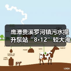 鹰潭贵溪罗河镇污水提升泵站“8·12”较大淹溺事故调查报告（图3）