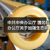 中共中央办公厅 国务院办公厅关于加强生态环境分区管控的意见