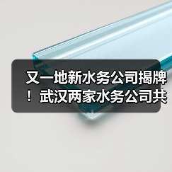 又一地新水务公司揭牌!武汉两家水务公司共同组建(图1) 又一地新水务公司揭牌!武汉两家水务公司共同组建(图1)