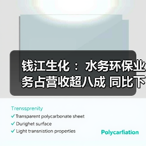 钱江生化 :水务环保业务占营收超八成 同比下降11.85%(图2) 钱江生化 :水务环保业务占营收超八成 同比下降11.85%(图2)