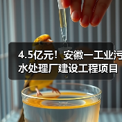 4.5亿元!安徽一工业污水处理厂建设工程项目招标计划发布(图2) 4.5亿元!安徽一工业污水处理厂建设工程项目招标计划发布(图2)