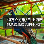 40万立方米/日 上海市政总院承接合肥十水厂新建工程(图1) 40万立方米/日 上海市政总院承接合肥十水厂新建工程(图1)