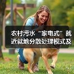 农村污水“家电式”就近就地分散处理模式及应用实践(图4) 农村污水“家电式”就近就地分散处理模式及应用实践(图4)