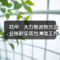 郑州:大力推进拖欠企业账款实质性清偿工作(图3) 郑州:大力推进拖欠企业账款实质性清偿工作(图3)