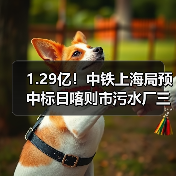1.29亿!中铁上海局预中标日喀则市污水厂三期建设项目采购、施工总承包(图2) 1.29亿!中铁上海局预中标日喀则市污水厂三期建设项目采购、施工总承包(图2)