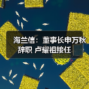 海兰信:董事长申万秋辞职 卢耀祖接任(图2) 海兰信:董事长申万秋辞职 卢耀祖接任(图2)