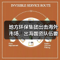 地方环保集团出击海外市场，出海国资队伍要来了？（图4）
