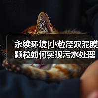 永续环境|小粒径双泥膜颗粒如何实现污水处理“提标、提量、降本”三重突破?(图2) 永续环境|小粒径双泥膜颗粒如何实现污水处理“提标、提量、降本”三重突破?(图2)
