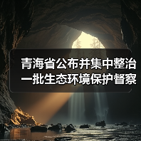 青海省公布并集中整治一批生态环境保护督察典型案例（图3）
