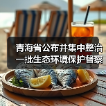 青海省公布并集中整治一批生态环境保护督察典型案例（图4）