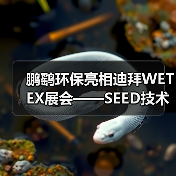 鹏鹞环保亮相迪拜WETEX展会——SEED技术引人瞩目,加速拓展海外市场(图3) 鹏鹞环保亮相迪拜WETEX展会——SEED技术引人瞩目,加速拓展海外市场(图3)