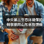 中央第三生态环境保护督察组向山东省反馈督察情况(图3) 中央第三生态环境保护督察组向山东省反馈督察情况(图3)