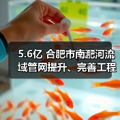 5.6亿 合肥市南淝河流域管网提升、完善工程 EPC招标(图4) 5.6亿 合肥市南淝河流域管网提升、完善工程 EPC招标(图4)