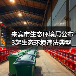 来宾市生态环境局公布3起生态环境违法典型案例(图2) 来宾市生态环境局公布3起生态环境违法典型案例(图2)