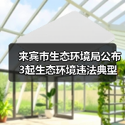 来宾市生态环境局公布3起生态环境违法典型案例