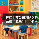 环保上市公司频陷财务造假“风暴”！“退市不免责”成常态（图3）