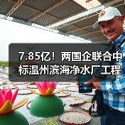 7.85亿!两国企联合中标温州滨海净水厂工程(图2) 7.85亿!两国企联合中标温州滨海净水厂工程(图2)
