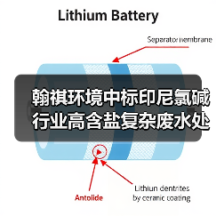 翰祺环境中标印尼氯碱行业高含盐复杂废水处理项目(图2) 翰祺环境中标印尼氯碱行业高含盐复杂废水处理项目(图2)