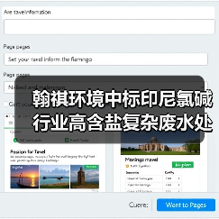 翰祺环境中标印尼氯碱行业高含盐复杂废水处理项目(图3) 翰祺环境中标印尼氯碱行业高含盐复杂废水处理项目(图3)