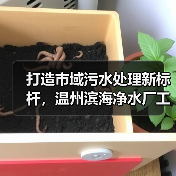 打造市域污水处理新标杆,温州滨海净水厂工程开工(图1) 打造市域污水处理新标杆,温州滨海净水厂工程开工(图1)