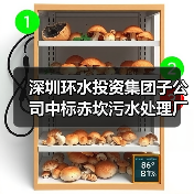 深圳环水投资集团子公司中标赤坎污水处理厂委托运营项目(图3) 深圳环水投资集团子公司中标赤坎污水处理厂委托运营项目(图3)
