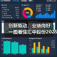 创新驱动，业绩向好：一图看懂汇中股份2025半年业绩报告（图3）
