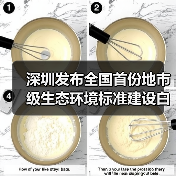 深圳发布全国首份地市级生态环境标准建设白皮书(图4) 深圳发布全国首份地市级生态环境标准建设白皮书(图4)