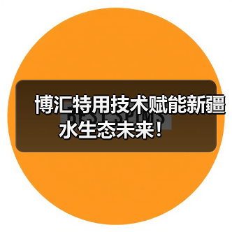 博汇特用技术赋能新疆水生态未来!(图2) 博汇特用技术赋能新疆水生态未来!(图2)