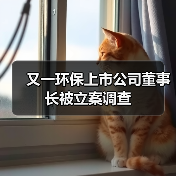 又一环保上市公司董事长被立案调查(图3) 又一环保上市公司董事长被立案调查(图3)