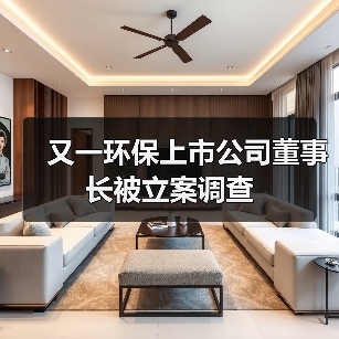 又一环保上市公司董事长被立案调查(图4) 又一环保上市公司董事长被立案调查(图4)