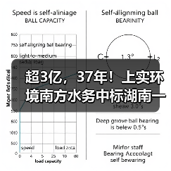 超3亿,37年!上实环境南方水务中标湖南一污水厂特许经营项目(图2) 超3亿,37年!上实环境南方水务中标湖南一污水厂特许经营项目(图2)