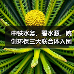 中铁水务、碧水源、皖创环保三大联合体入围长合污水处理厂一期工程建设运营项目(图2) 中铁水务、碧水源、皖创环保三大联合体入围长合污水处理厂一期工程建设运营项目(图2)